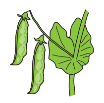 0500iqan-d9a2-210x208.png