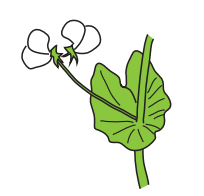 0500iqb7-a9aa-204x196.png