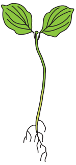 0500iqbk-984c-149x324.png