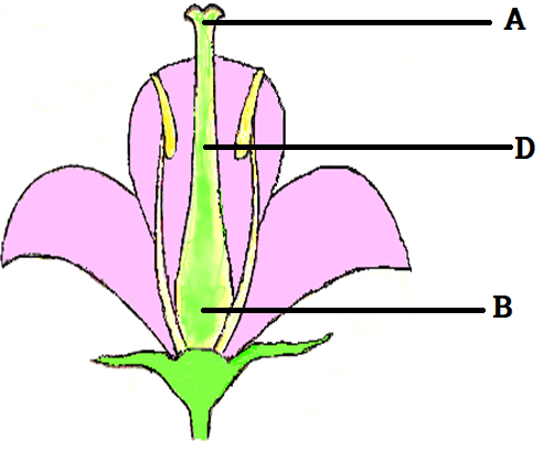 0500iqm0-4505-502x409.png