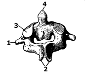 0500iso9-6417-172x149.png