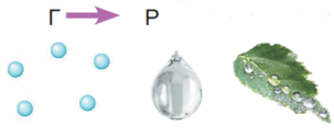0500iubq-ee74-303x125.png