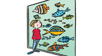 Test 2 Fly High 4