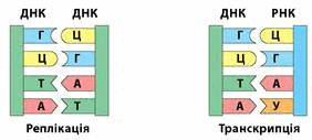 0500j0zw-54c7-282x127.png