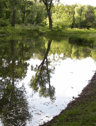 0500j1o6-135d-139x182.png
