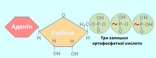 0500j1qv-165b-513x192.png