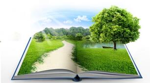 Розробка  для проведення тижня біології „Пізнання починається із здивування”.