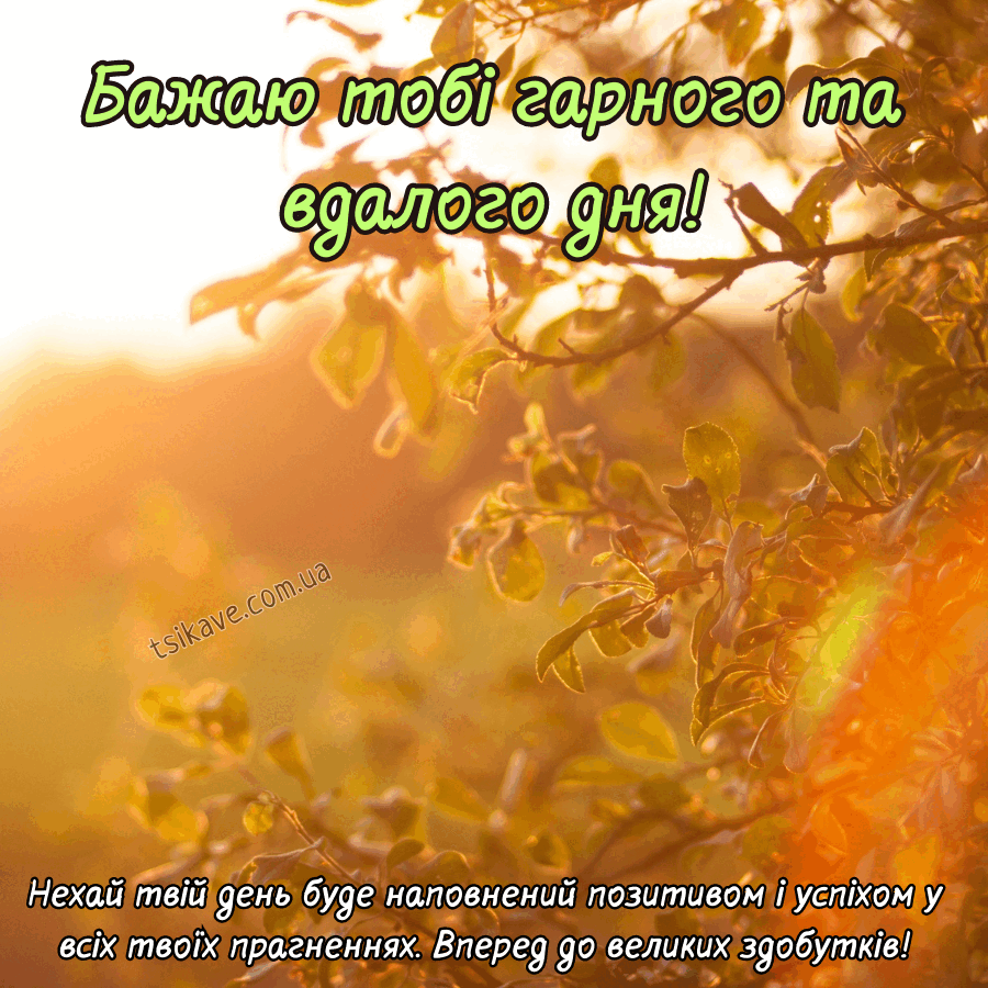 0500j8l2-07d3-900x900.png