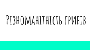 Презентація "Гриби. Різноманітність грибів"