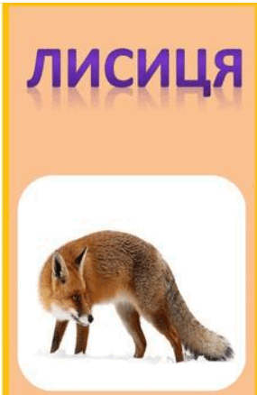 0500j9kx-acda-285x438.png