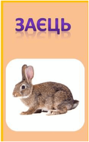 0500j9kz-1630-292x467.png