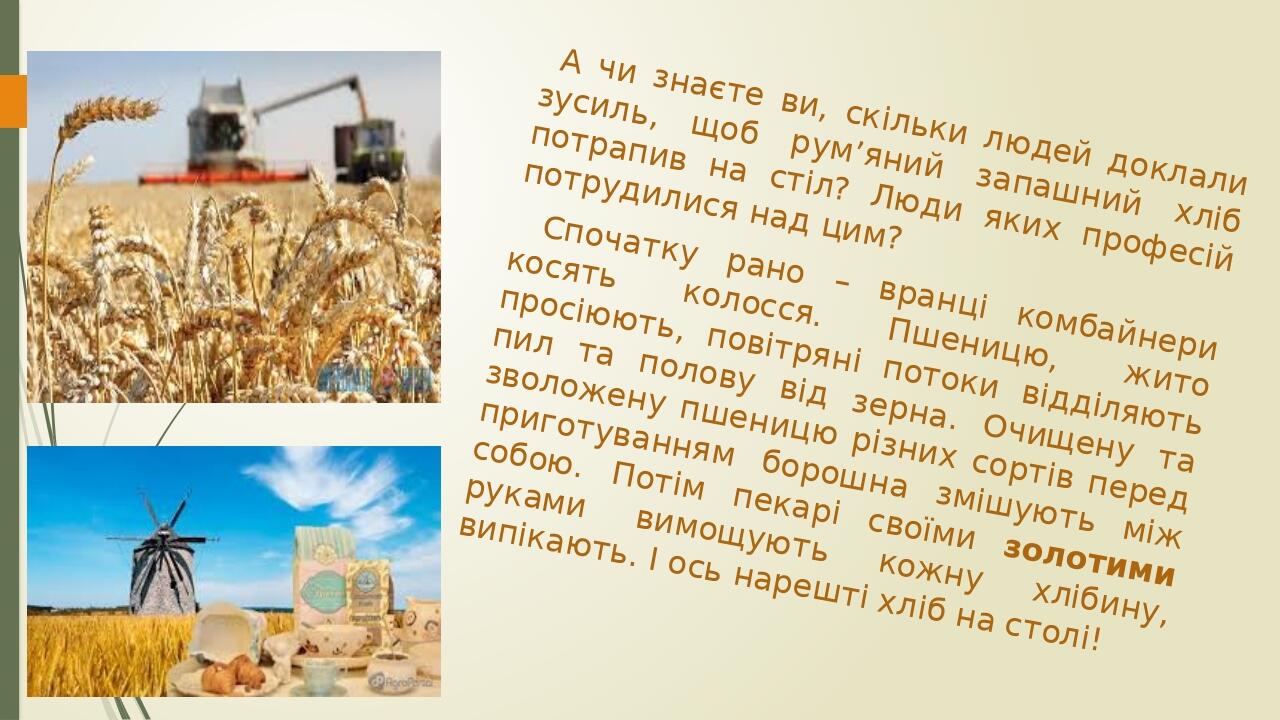А чи знаєте ви, скільки людей доклали зусиль, щоб рум’яний запашний хліб потрапив на стіл? Люди яких професій потрудилися над цим? Спочатку рано – ...