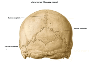 0500jacr-15c2-306x219.png