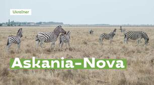 Welcome to Askania-Nova