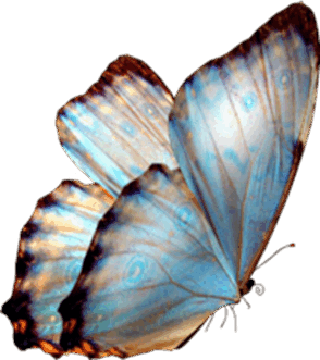 0500jmxk-9d0d-294x331.png