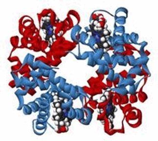 0500jntk-b92e-323x288.png