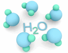 0500jnyw-5412-239x188.png
