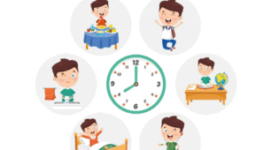 Daily routine & Sports
