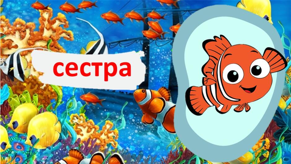 0500jta8-c8c7-940x529.jpg