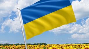 Пісні літературного походження. «Ще не вмерла Україна…» П. Чубинського і М. Вербицького. Теорія літератури: гімн