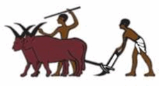 0500jzf4-d970-229x124.png
