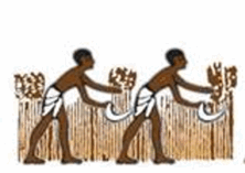 0500jzh2-0559-222x157.png