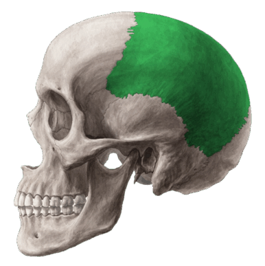 0500k2nl-3faa-386x387.png