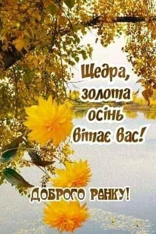 0500k726-5bb2-320x480.jpg