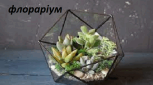  Флораріум. Узагальнення