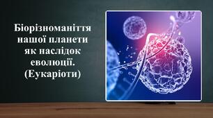 Біорізноманіття нашої планети як наслідок еволюції.(Еукаріоти)