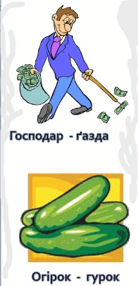 0500k8pp-5706-202x418.png