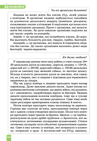 0500k9f9-457a-340x492.png