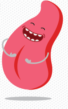 0500kche-7d8e-224x359.png