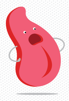 0500kci3-e548-269x395.png