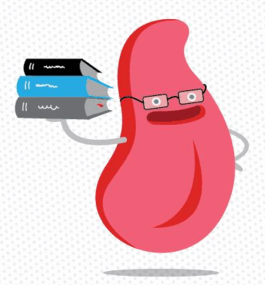 0500kd3e-6006-265x285.png