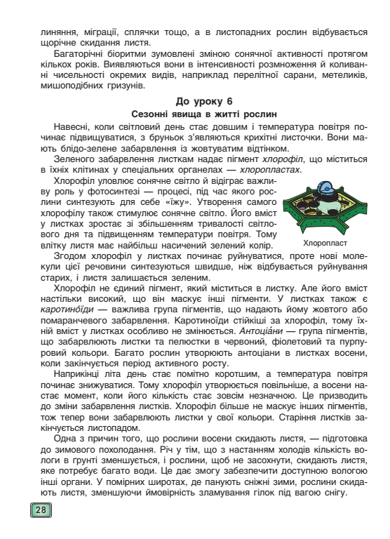 0500kenx-1128-556x768.png