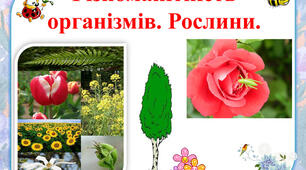 Презентація з природознавства для 5 класу до теми уроку 47 " Різноманітність організмів. Рослини."