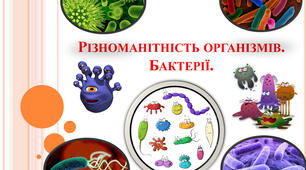 Презентація з природознавства для 5 класу до теми уроку 50 "Різноманітність організмів. Бактерії."