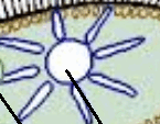 0500kjd0-1690-145x113.png
