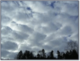 0500kk8r-0897-158x122.png