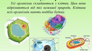 Конспект уроку з природознавства для 5 класу на тему "Урок 46 Організм і його властивості. Клітинна будова організмів"