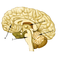 0500kka0-c328-200x200.png