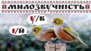 Основні випадки чергування у –в, і – й, з – із – зі (зо)