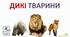 Презентація : "Дикі тварини"