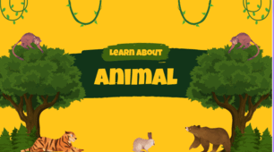 Animals. Тварини. Вживання дієслів, опис, повторенння
