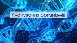 Презентація на тему "Клонування"