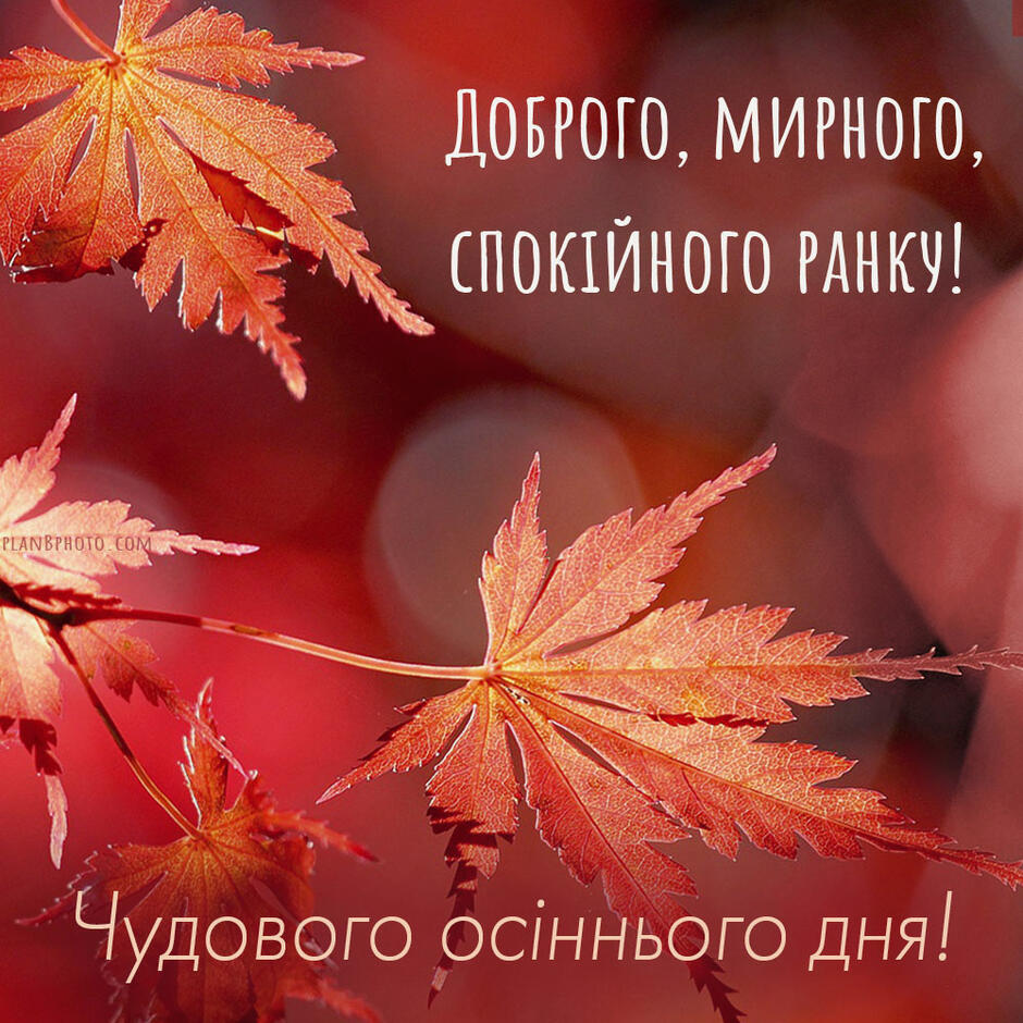 Доброго осіннього ранку: картинка