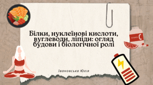 Білки, нуклеїнові кислоти, вуглеводи, ліпіди: огляд будови та біологічної ролі.