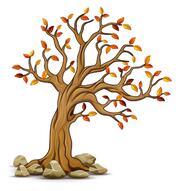 Ilustración de vector de árbol de otoño con piedras | Vector Premium
