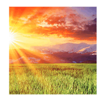 0500kz4g-6e3d-205x200.png